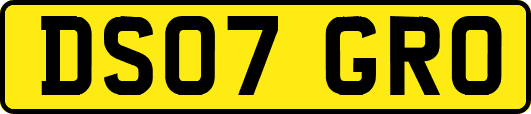 DS07GRO