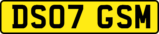 DS07GSM