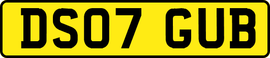 DS07GUB