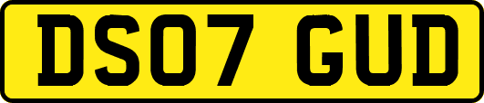 DS07GUD