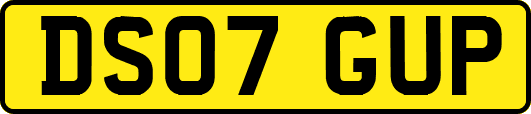 DS07GUP