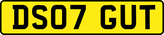 DS07GUT