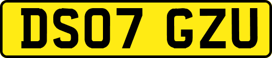 DS07GZU