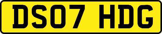 DS07HDG