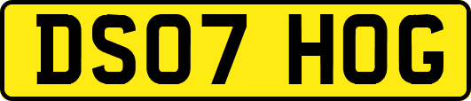 DS07HOG