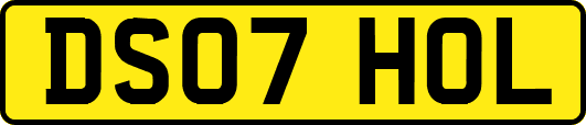 DS07HOL