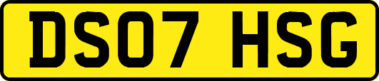 DS07HSG