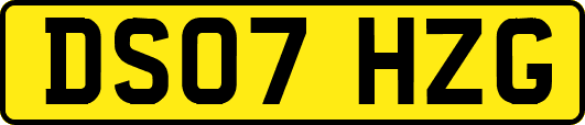 DS07HZG