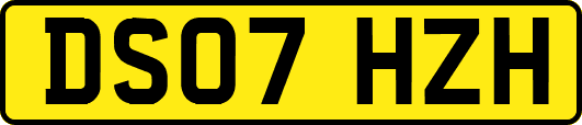 DS07HZH