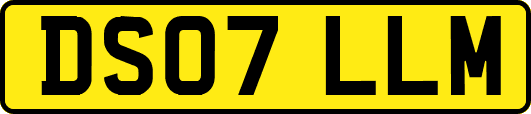 DS07LLM