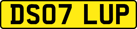 DS07LUP