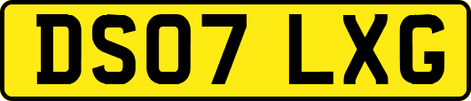 DS07LXG