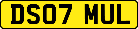 DS07MUL