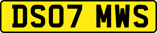 DS07MWS