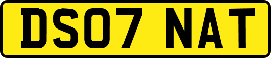DS07NAT