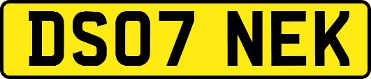 DS07NEK
