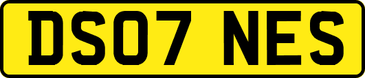 DS07NES