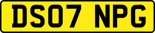 DS07NPG