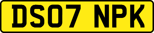 DS07NPK