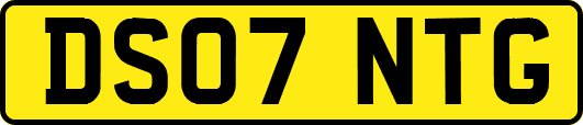 DS07NTG