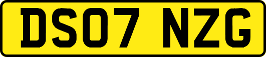 DS07NZG