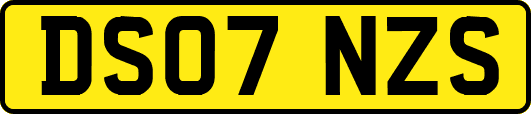 DS07NZS