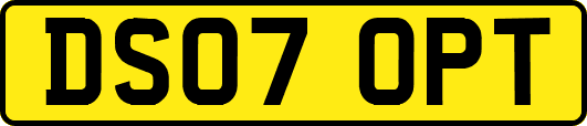 DS07OPT