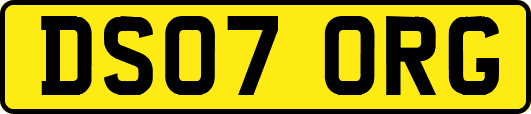 DS07ORG