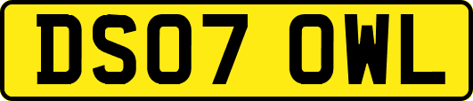 DS07OWL