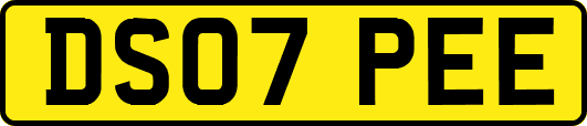 DS07PEE