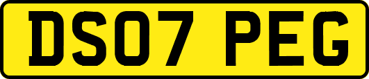DS07PEG