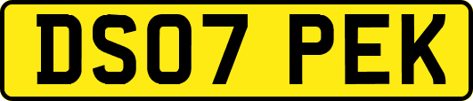 DS07PEK