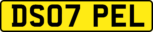 DS07PEL