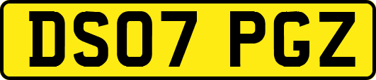 DS07PGZ