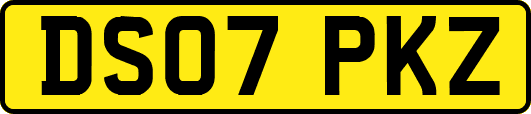 DS07PKZ