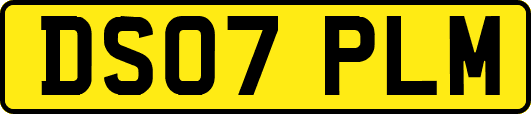 DS07PLM
