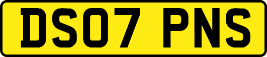 DS07PNS