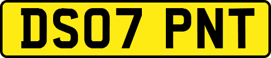 DS07PNT