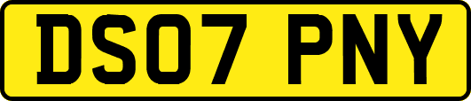 DS07PNY