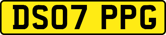 DS07PPG