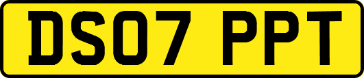 DS07PPT