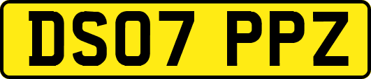 DS07PPZ