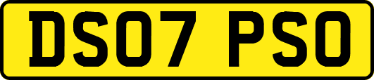 DS07PSO