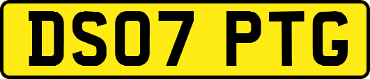DS07PTG