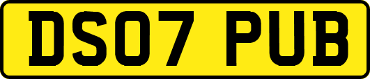 DS07PUB