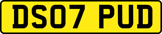 DS07PUD