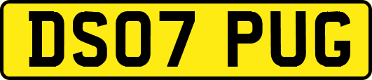 DS07PUG