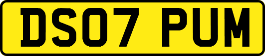 DS07PUM
