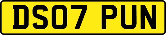 DS07PUN