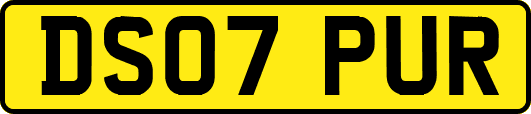 DS07PUR